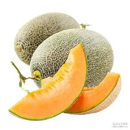 哈密瓜蓉產品綜合指南 價格、型號、圖片及預包裝食品批發(fā)與零售服務